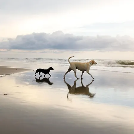 펜션 Beachside - Part Of The The Bay Village With Pool, Gym And Direct Access, Pub, Restaurant, Tennis And Meadows Walks *