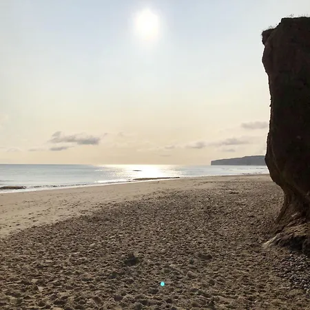 Beachside - Part Of The The Bay Village With Pool, Gym And Direct Access, Pub, Restaurant, Tennis And Meadows Walks Filey
