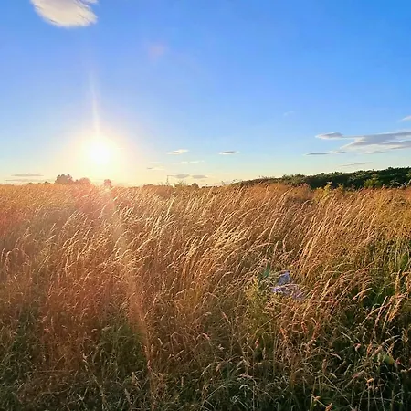 Holiday home Beachside - Part Of The The Bay Village With Pool, Gym And Direct Access, Pub, Restaurant, Tennis And Meadows Walks Filey